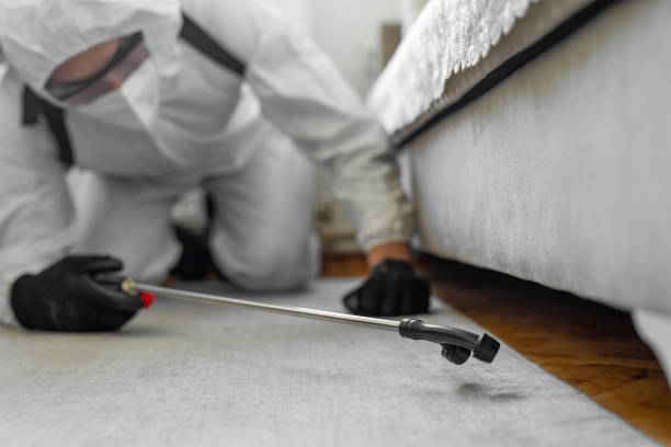 Professional Bed Bug Control technician working in Gastonia, NC