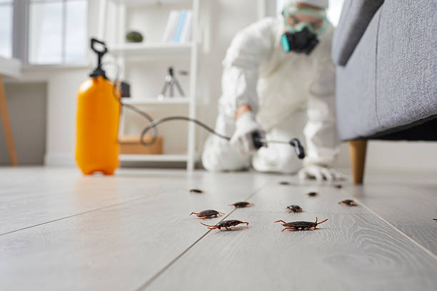 Trusted Mosquito Control service in Gastonia, NC - Nex Pest Control